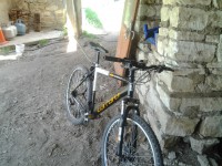 carraro Bianchi smart 